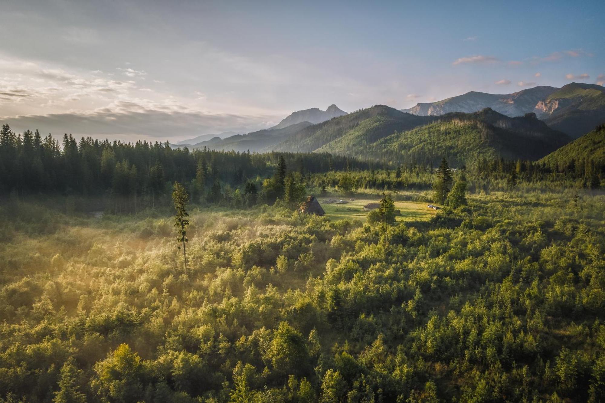 Apartamenty Krokus Przy Polanie Bialy Potok Witów エクステリア 写真